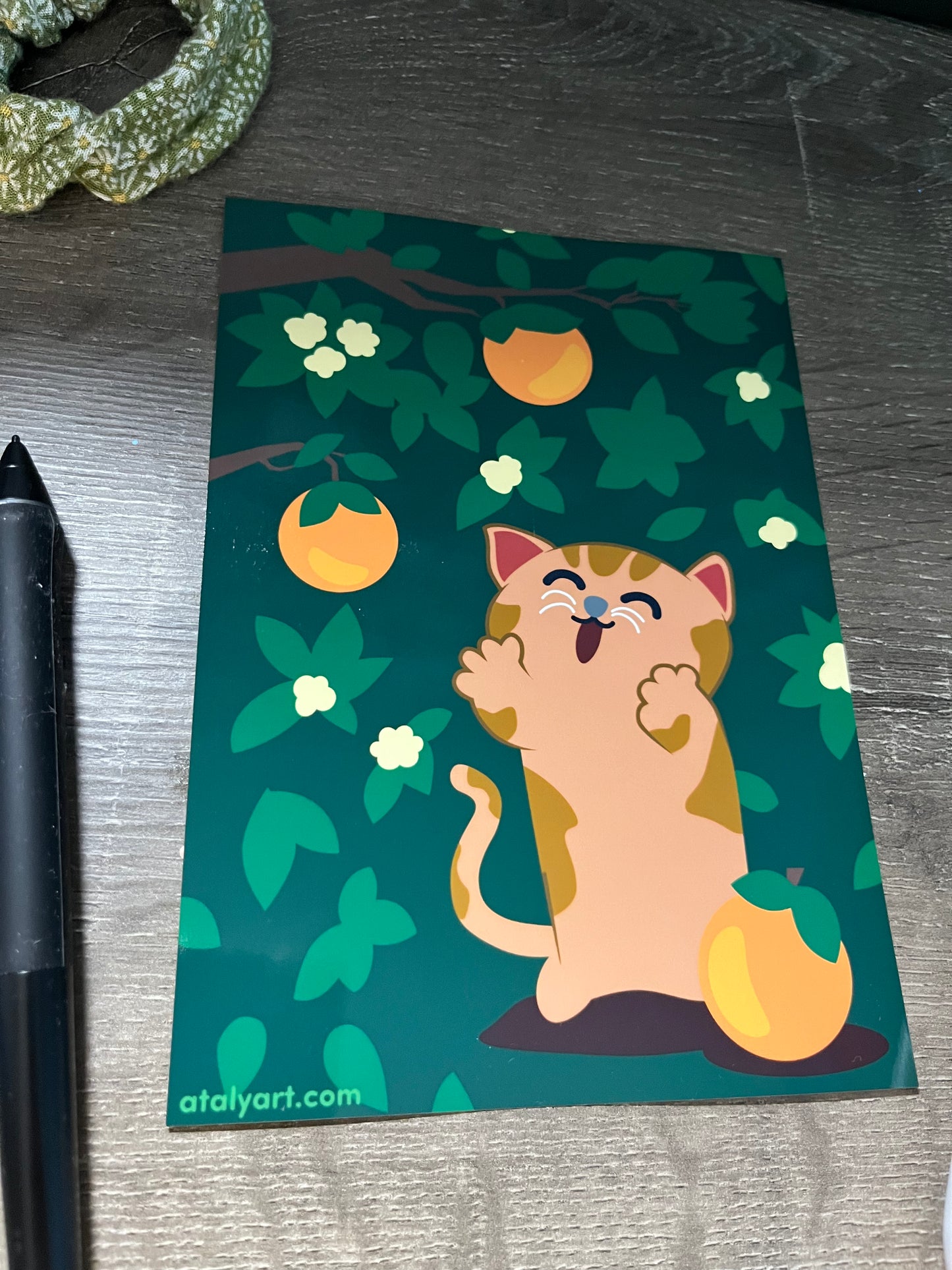 "Orange You Glad?" – 5x7 Glossy Art Print