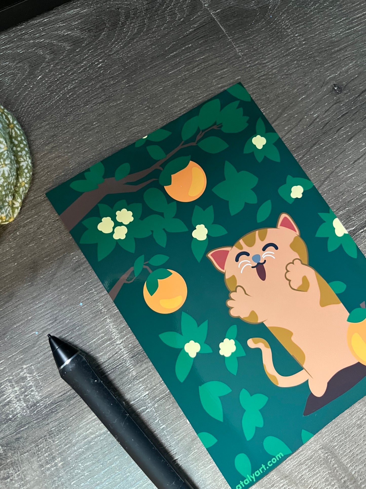 "Orange You Glad?" – 5x7 Glossy Art Print